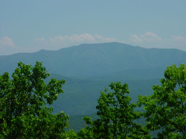 Click to see next picture